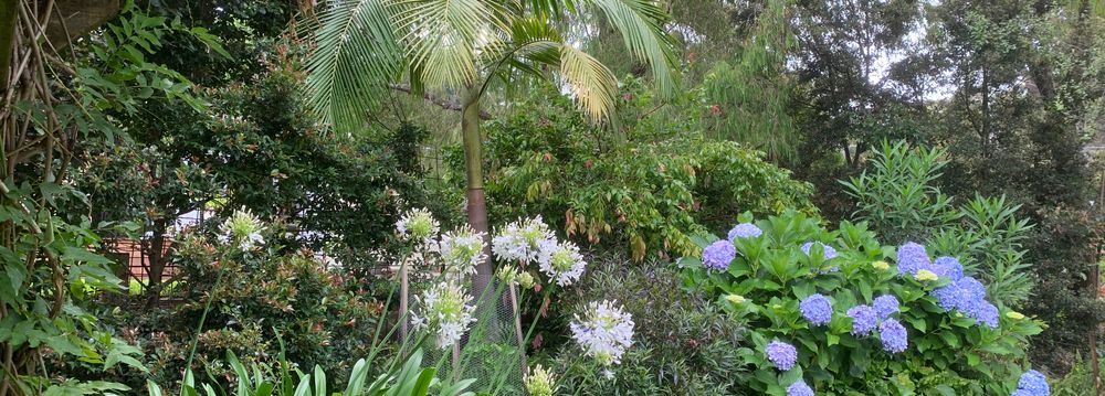 Jervis Bay Realty Holidays: Blenheim Beach Blue Jervis Bay accommodation in Vincentia