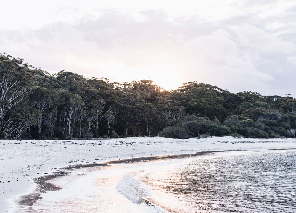  Jervis Bay Realty Holidays: The Beach Studio Jervis Bay accommodation in Huskisson