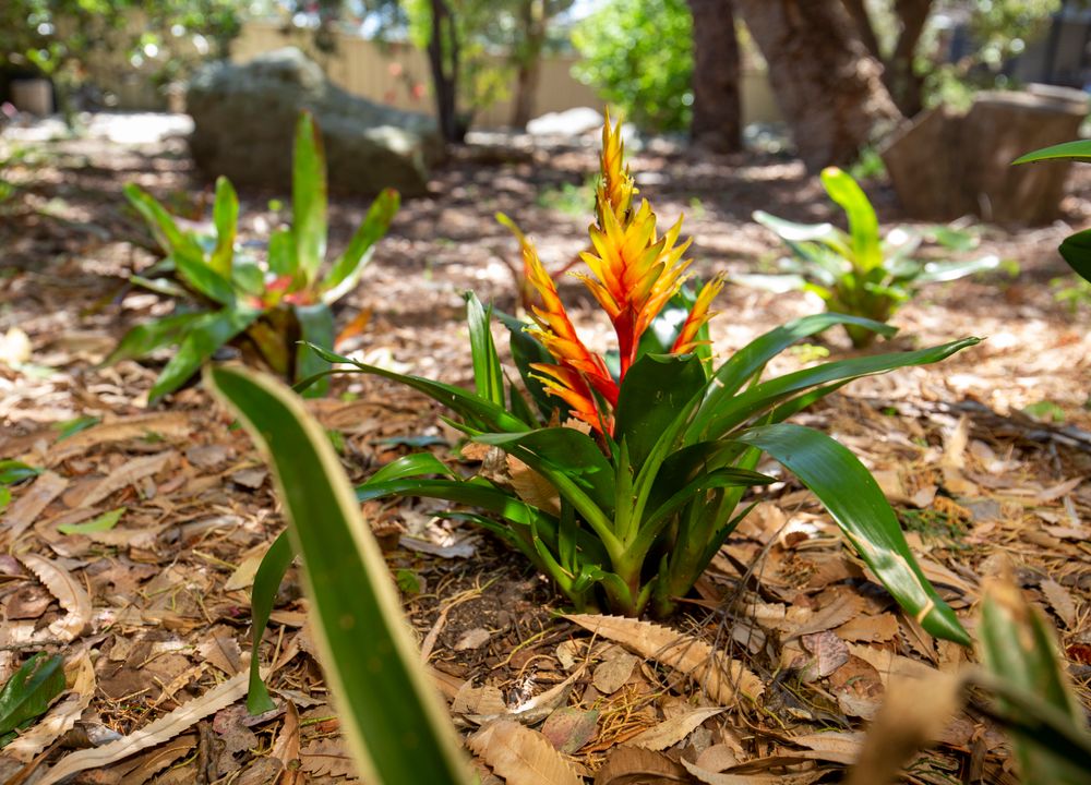  Jervis Bay Realty Holidays: Banksia by the Bay Jervis Bay accommodation in Vincentia