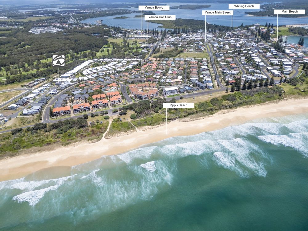 Surf and Dunes