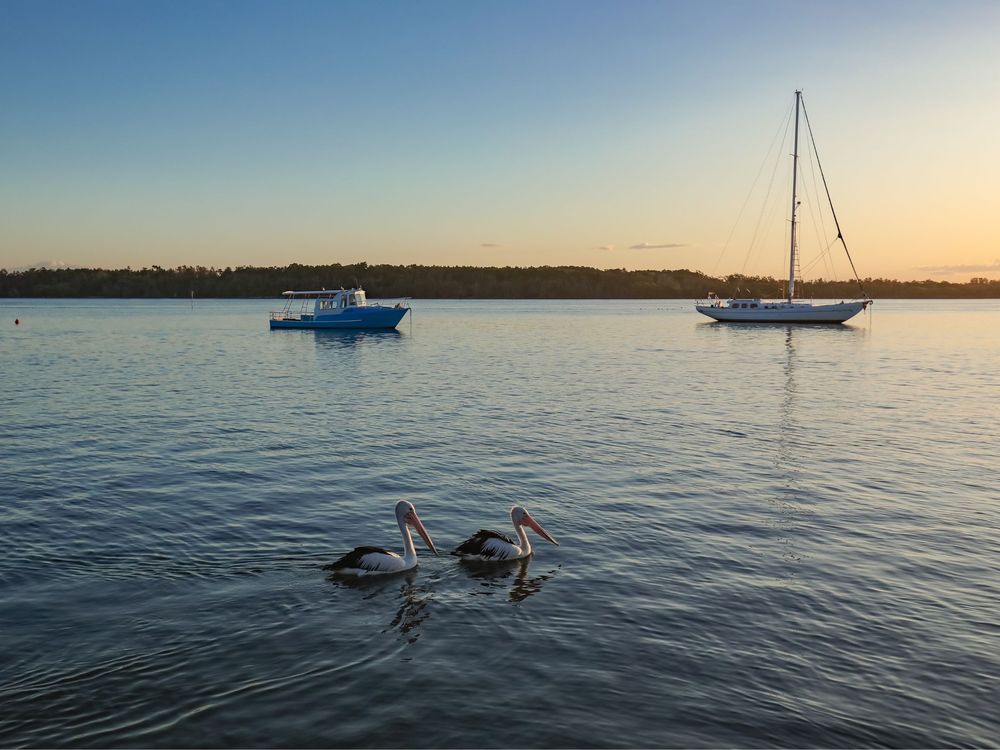 Koala Lodge – Studio 1