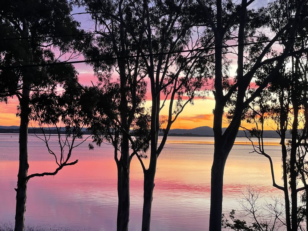 Iluka Lights
