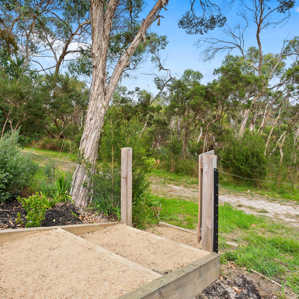 CORYMBIA - MOUNT MARTHA