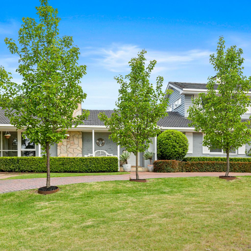 ALLAMBEA - MOUNT ELIZA