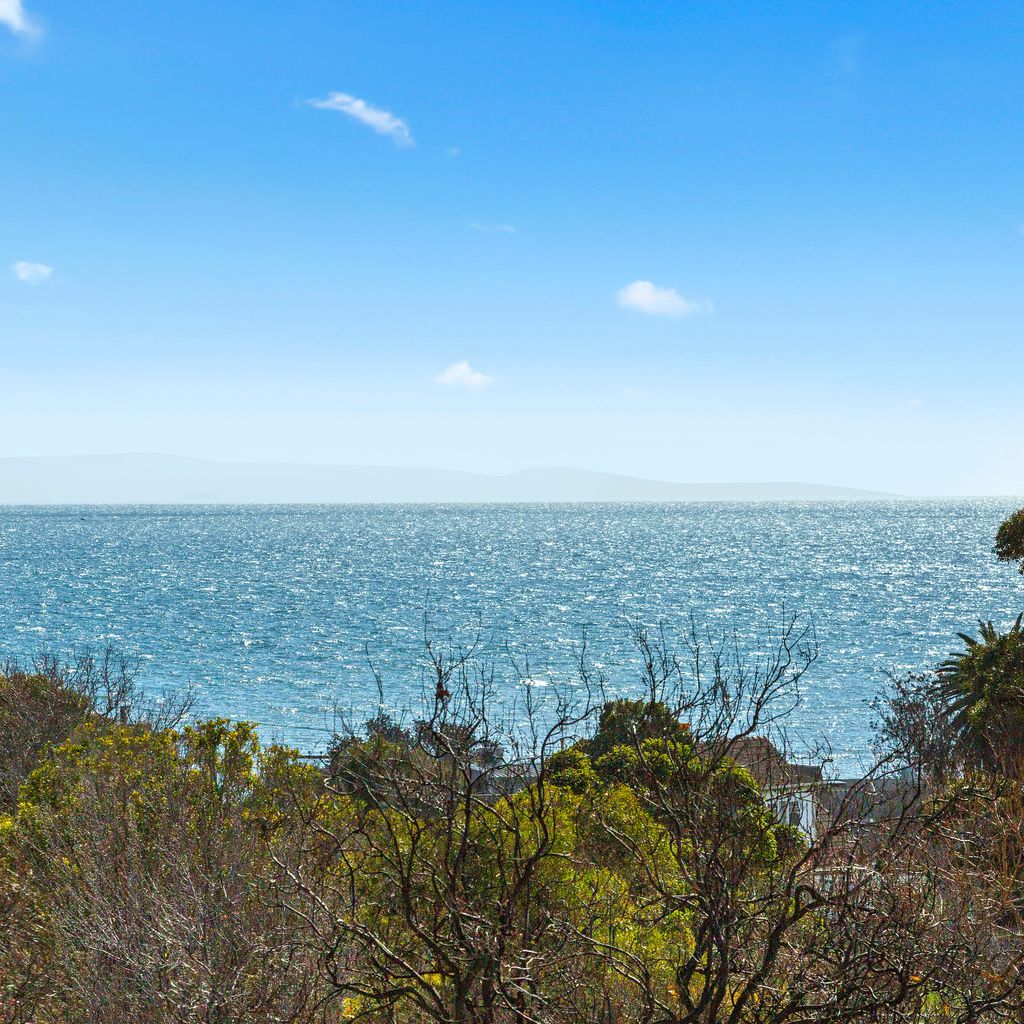 OSPREY - MORNINGTON