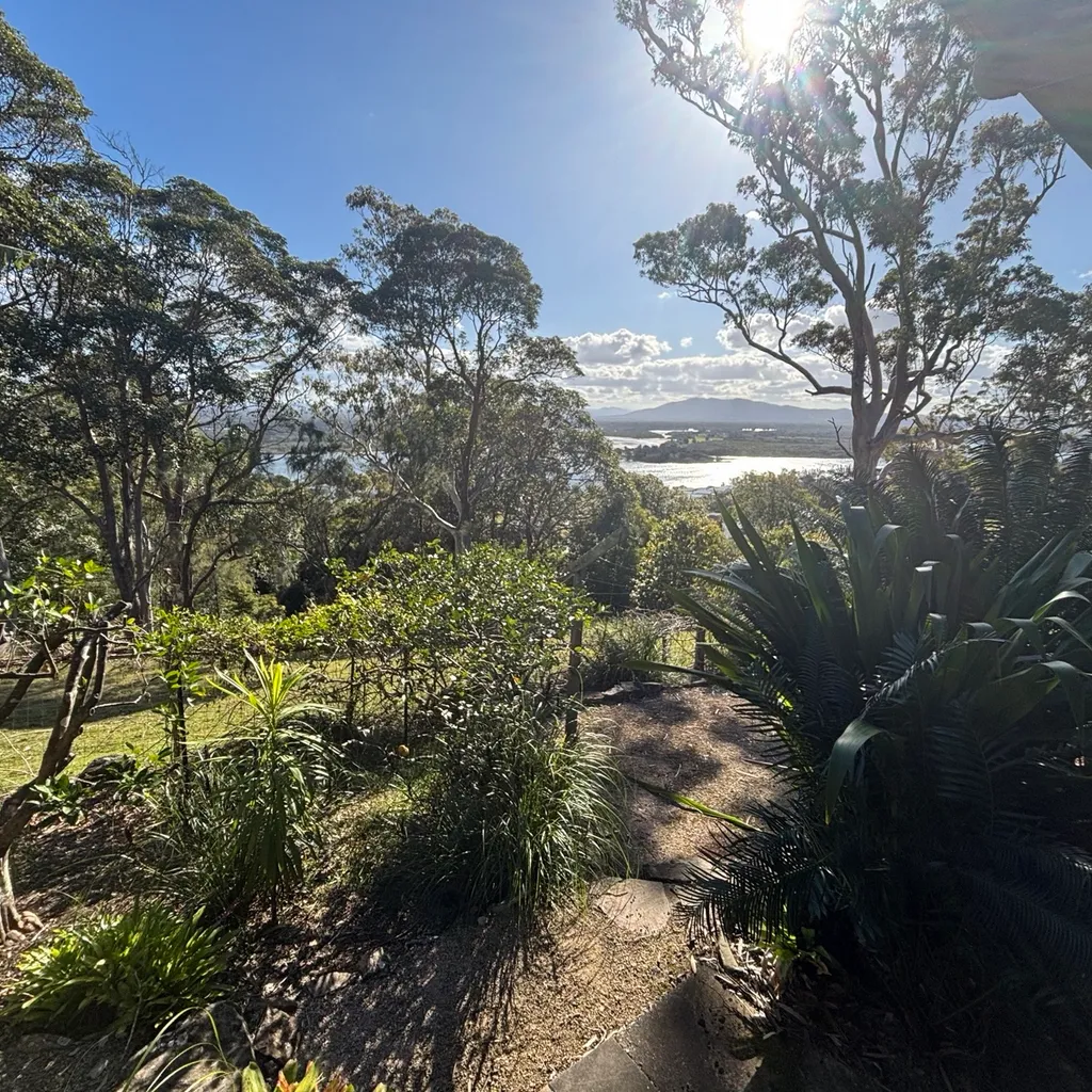 View from BBQ area.