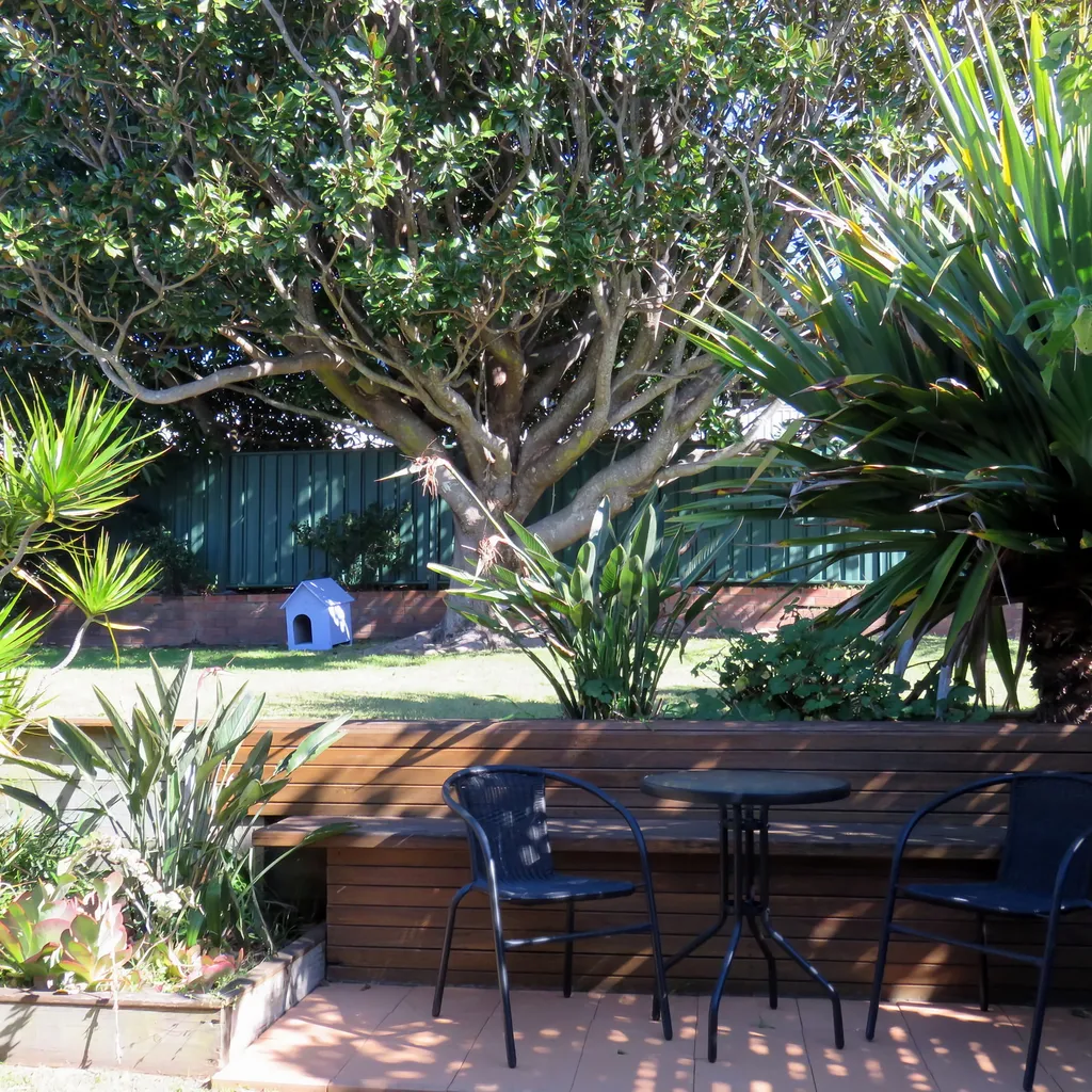 Backyard.