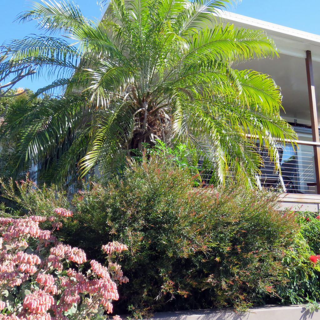 External view of the property.