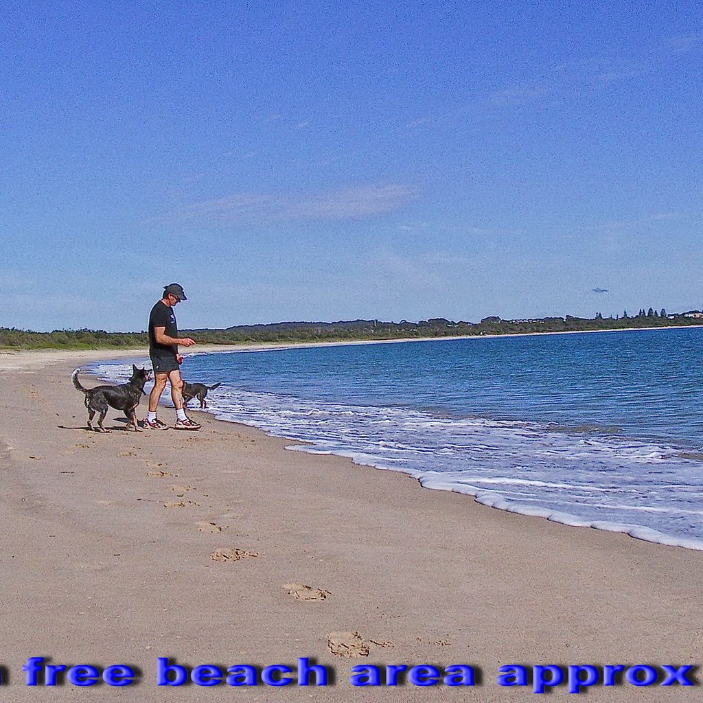 Leash free secttion of Trial Bay.