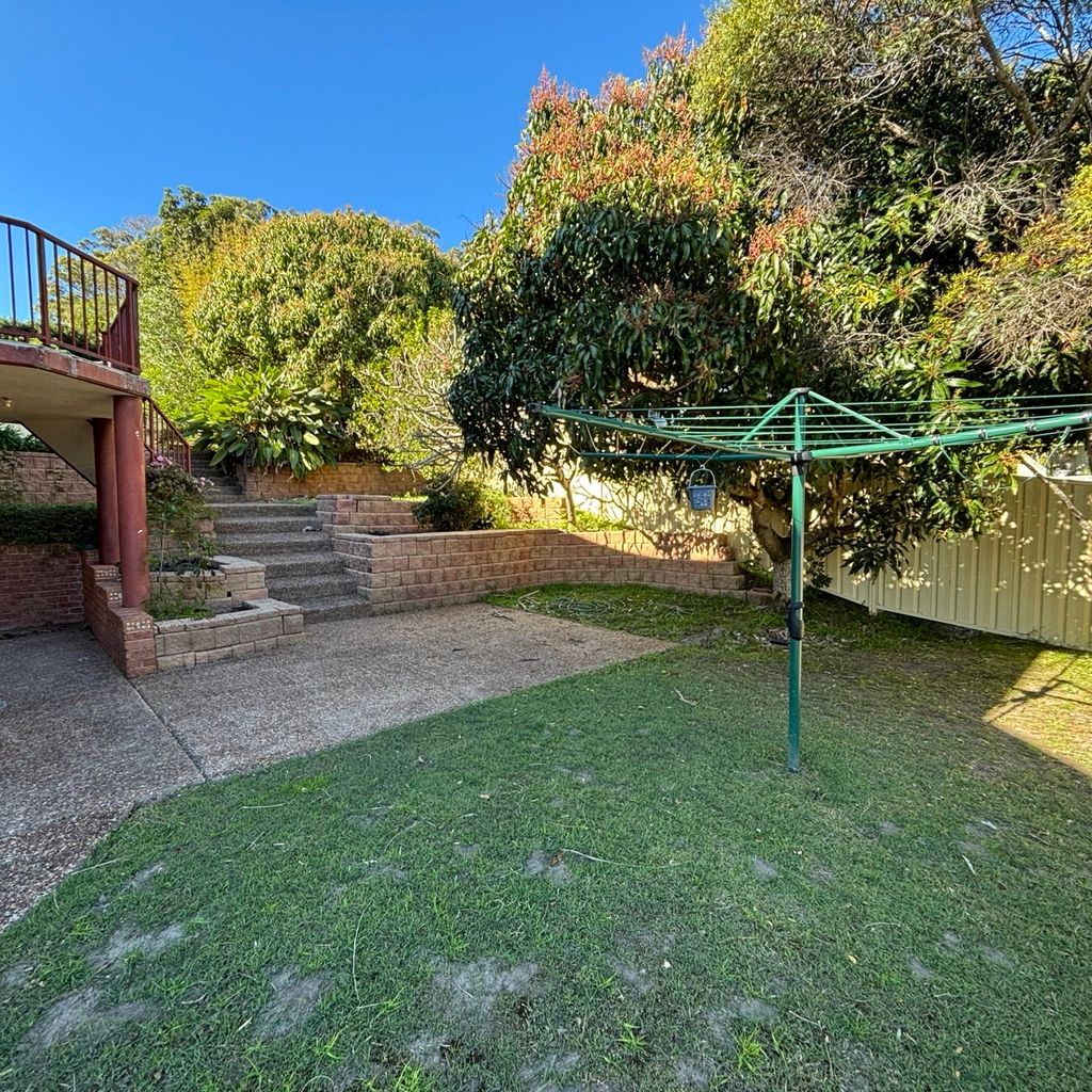 Backyard. 