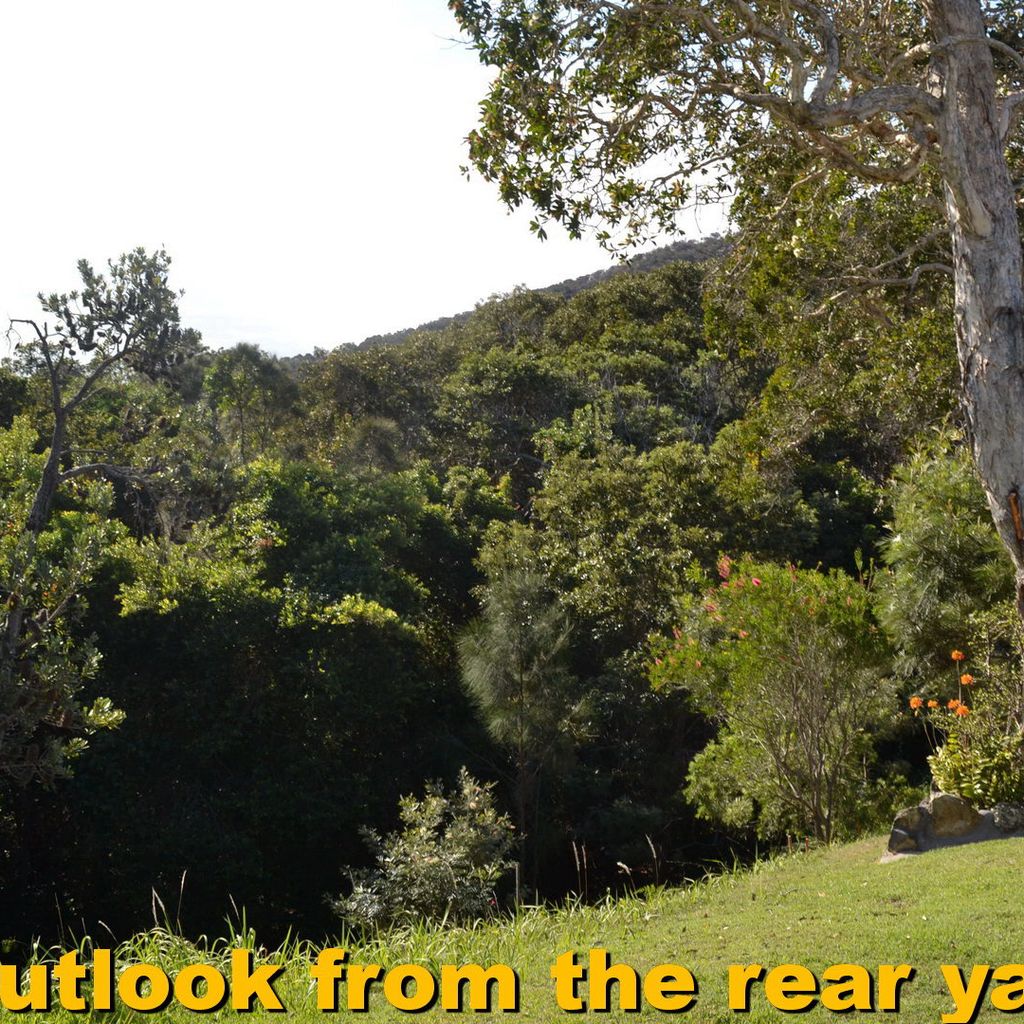 Outlook from the rear yard.