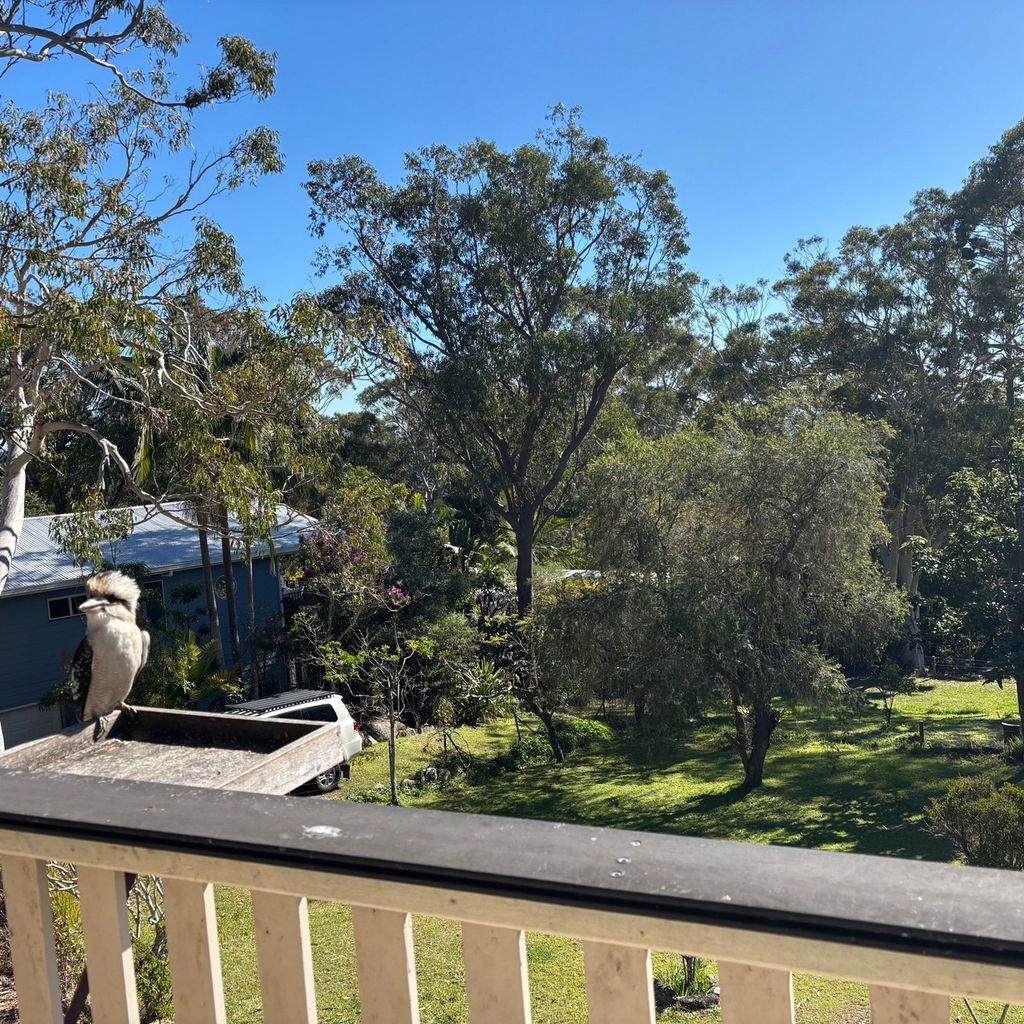 View from back balcony.