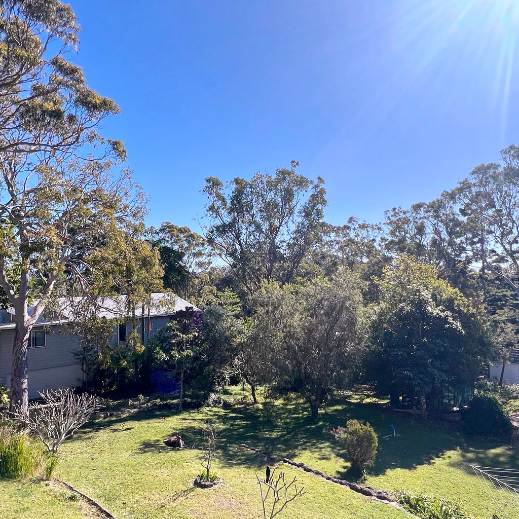 Bush view from the balcony.