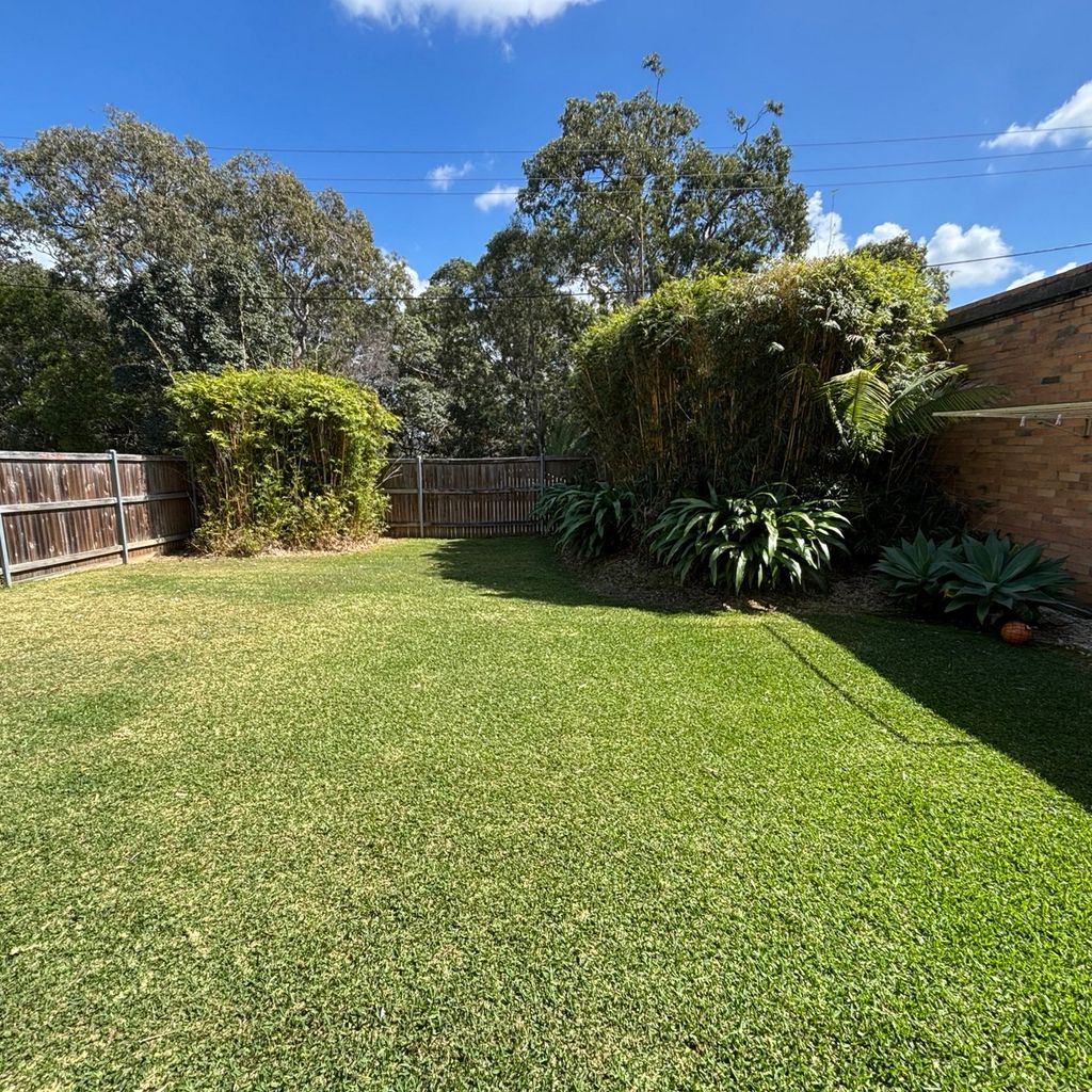 Yard. 