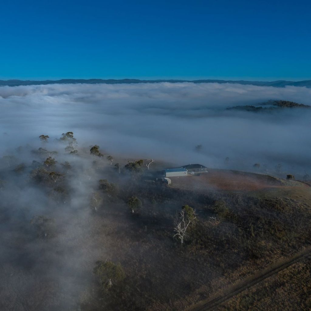 Brumbies Run – 92B Chongs Rd