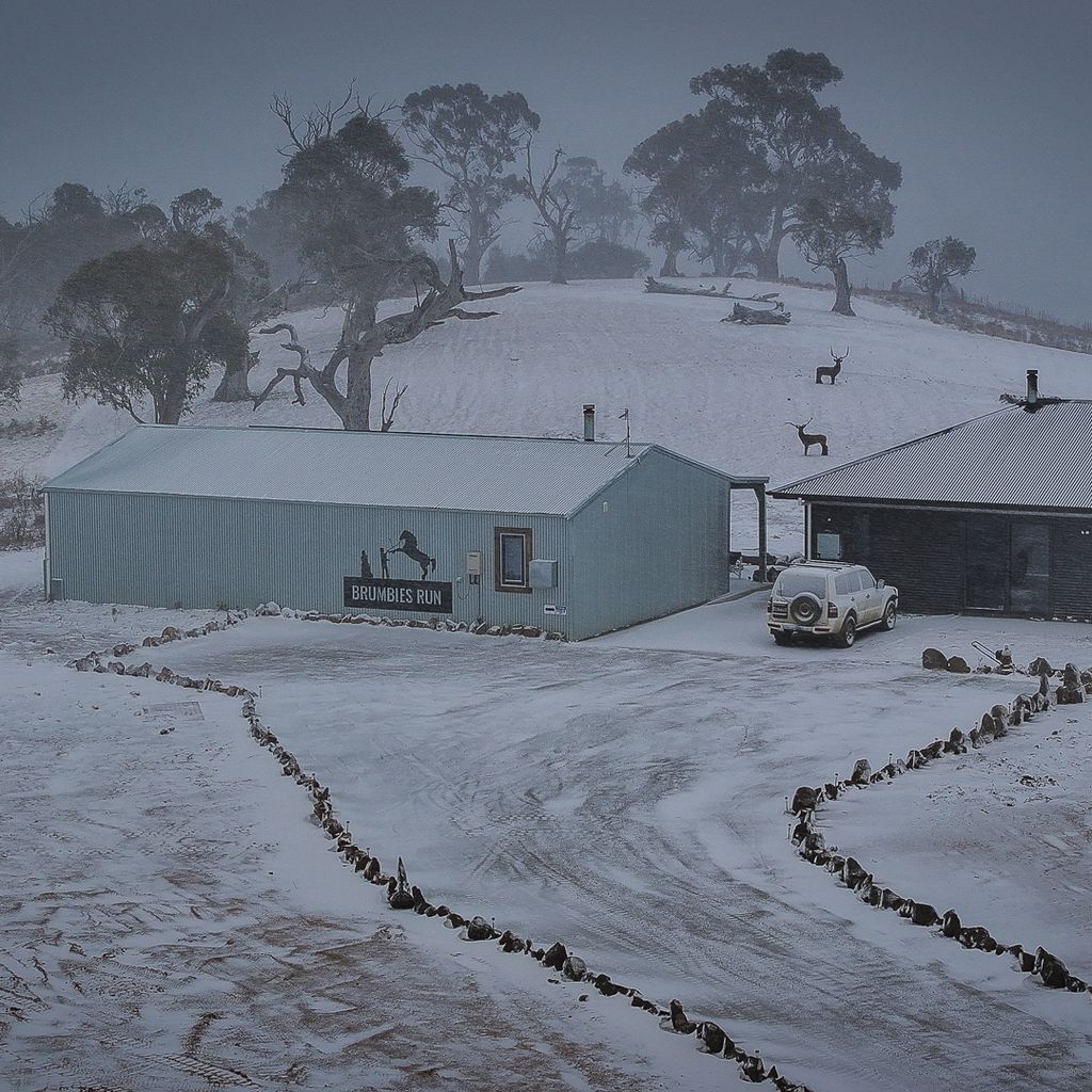 Brumbies Run – 92B Chongs Rd