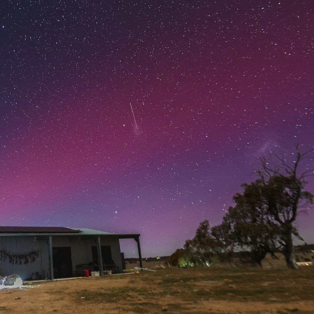 Brumbies Run – 92B Chongs Rd
