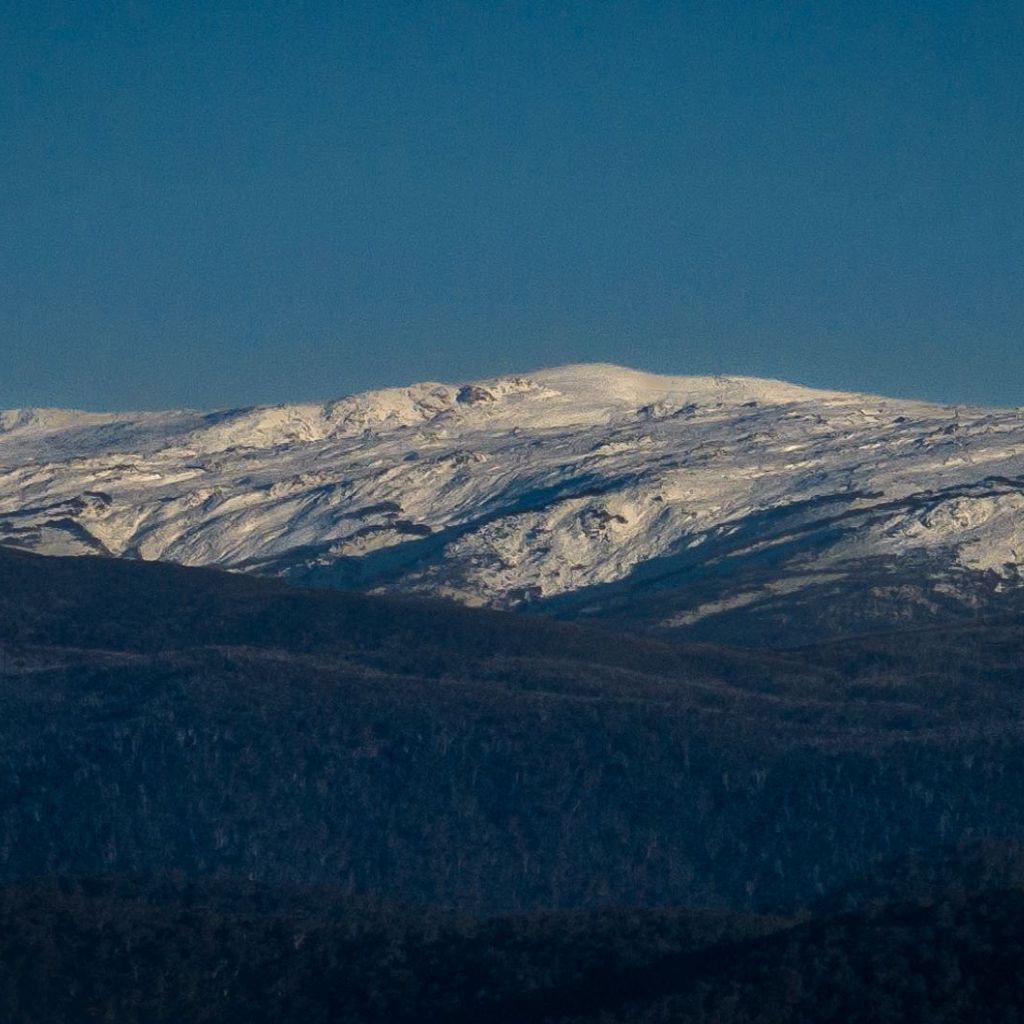 Brumbies Run – 92B Chongs Rd