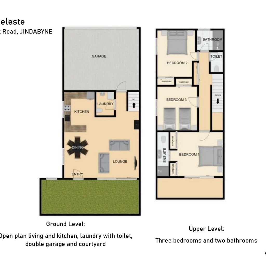 Albi Celeste – 2/9 Park Road