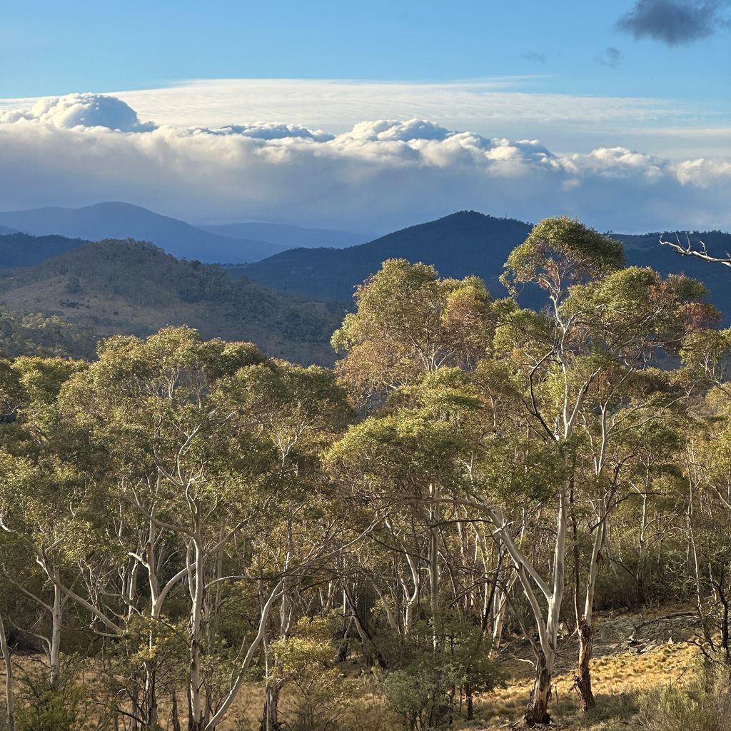 Mountain Zen – 94 Chongs Road