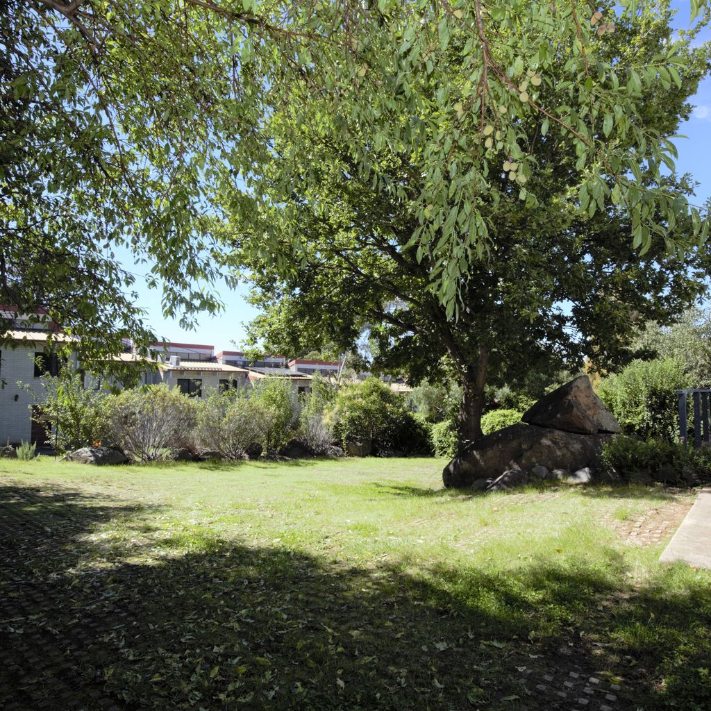 Blizzard Bunny Lodge – 43 Gippsland Street