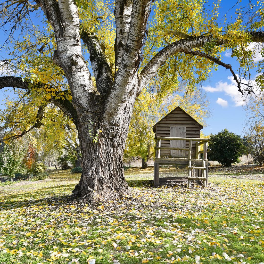 Cornhill – Merrijig – Sleeps 12