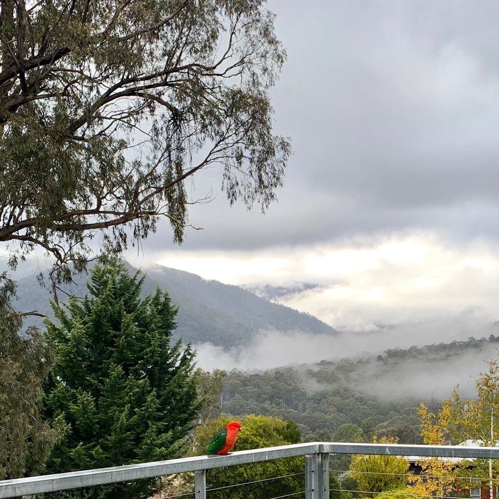 Black Diamond – Luxury Alpine Home in Merrijig | Sleeps 14