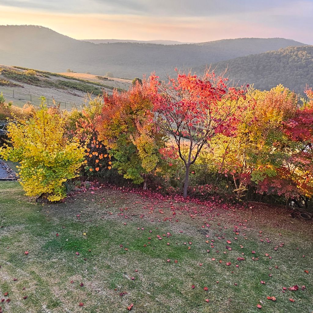 Luxury 5BR Mountain Home | Mt Buller Views