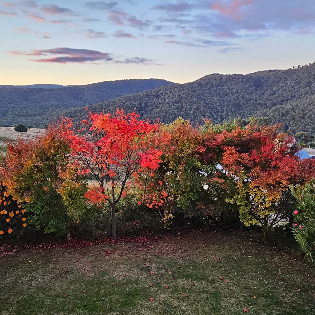 Luxury 5BR Mountain Home | Mt Buller Views