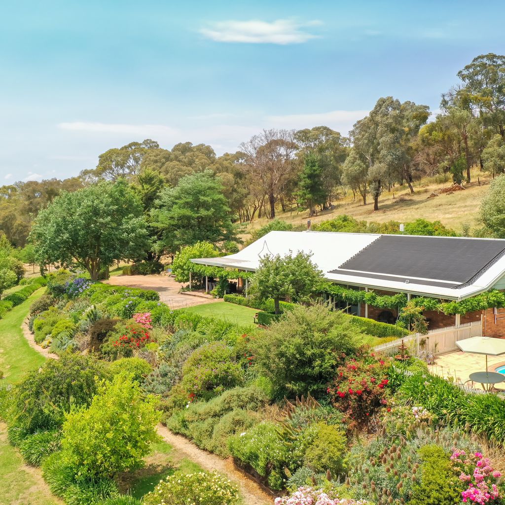 Monkey Gully Retreat – Pool – Mansfield – Sleeps 9