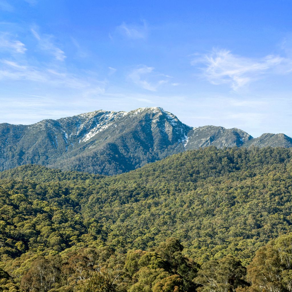 Alpine Vista with Stunning Mt Buller Views