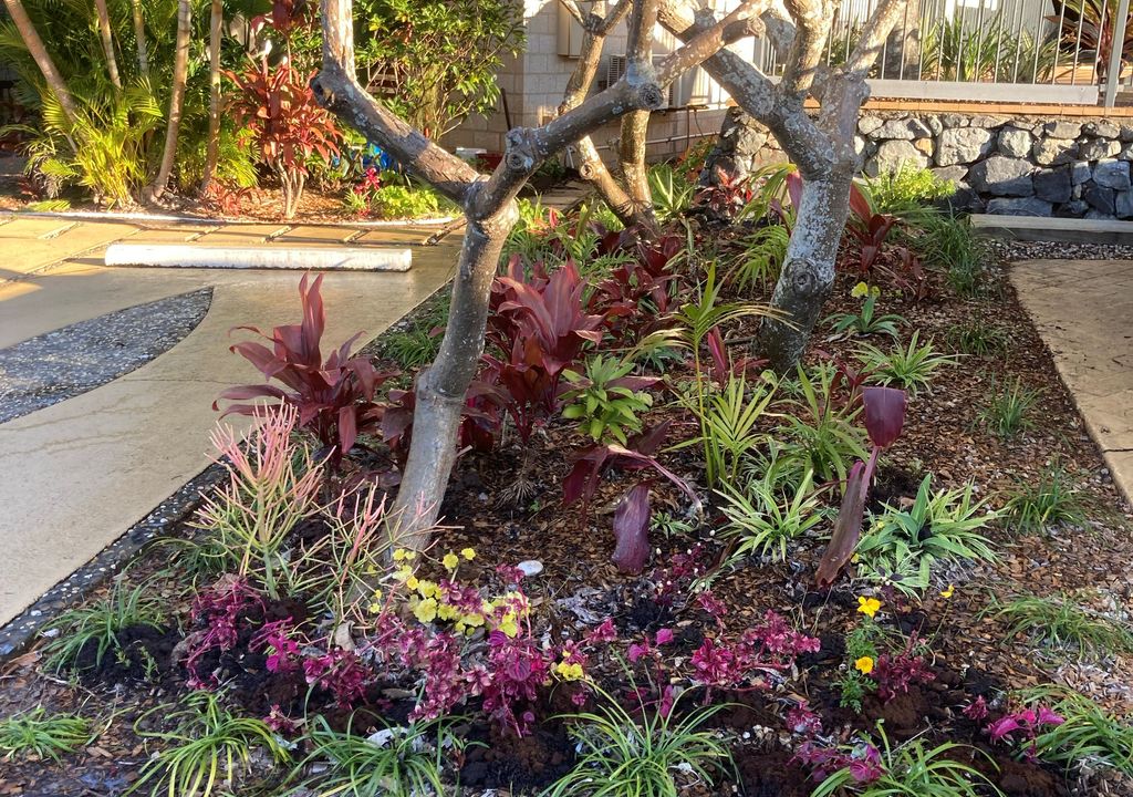 Sapphire Beach Poolside Retreat