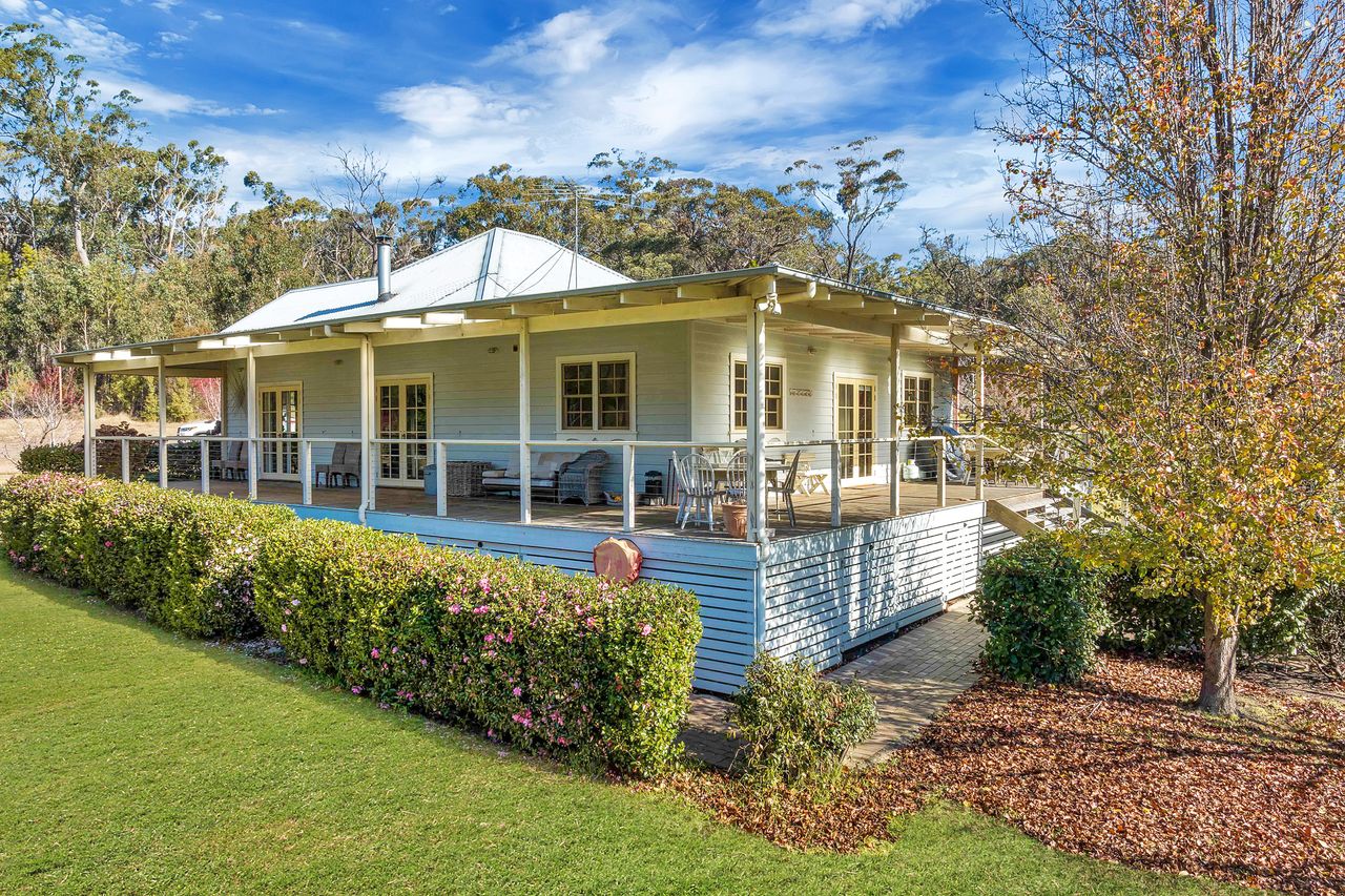 pet-friendly accommodation