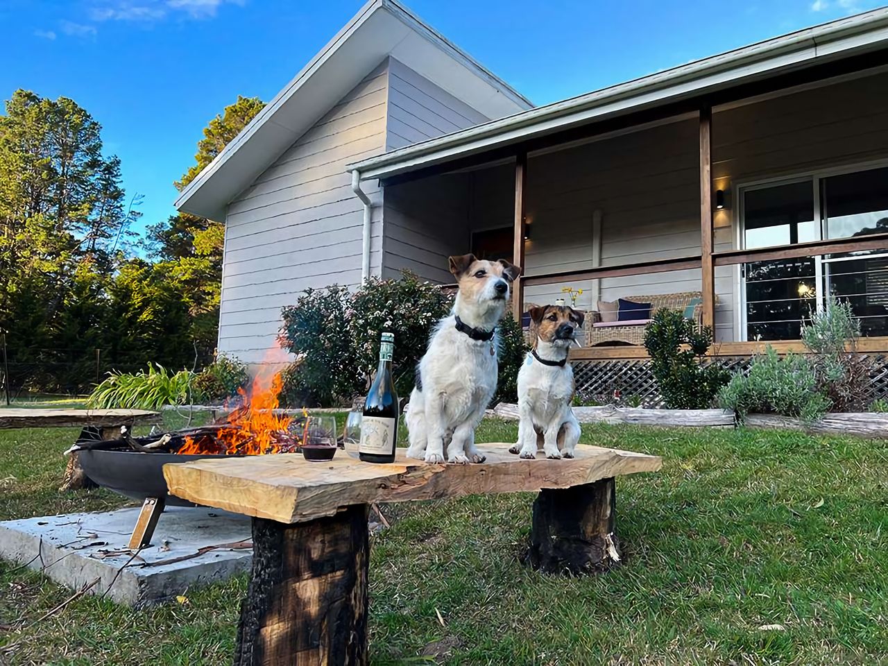 pet-friendly accommodation