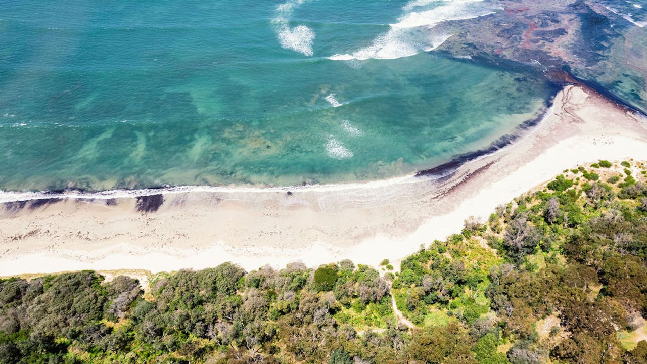 Baringa House Photo 22