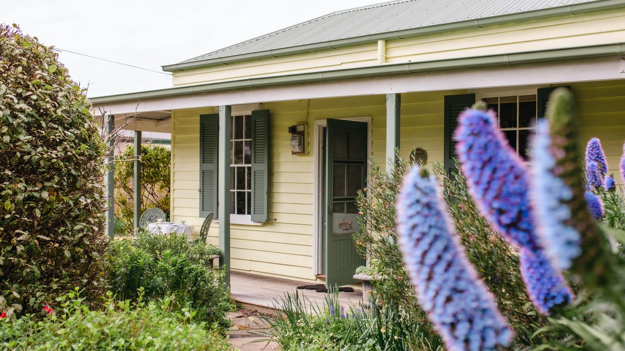 Bimbi of Flinders Photo 6