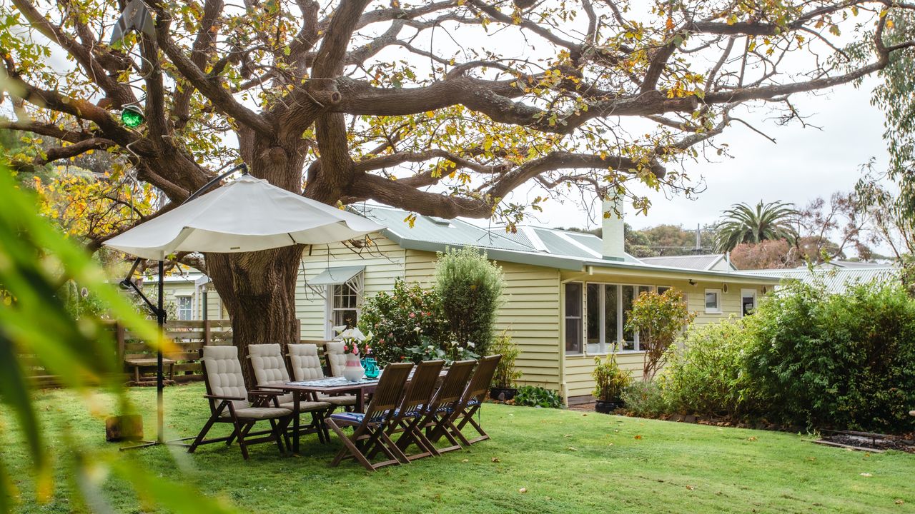 Bimbi of Flinders Photo 4