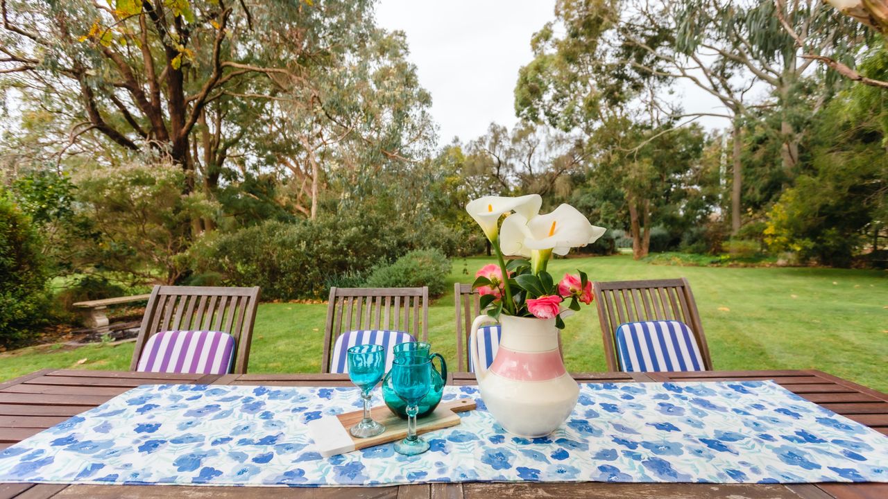 Bimbi of Flinders Photo 10