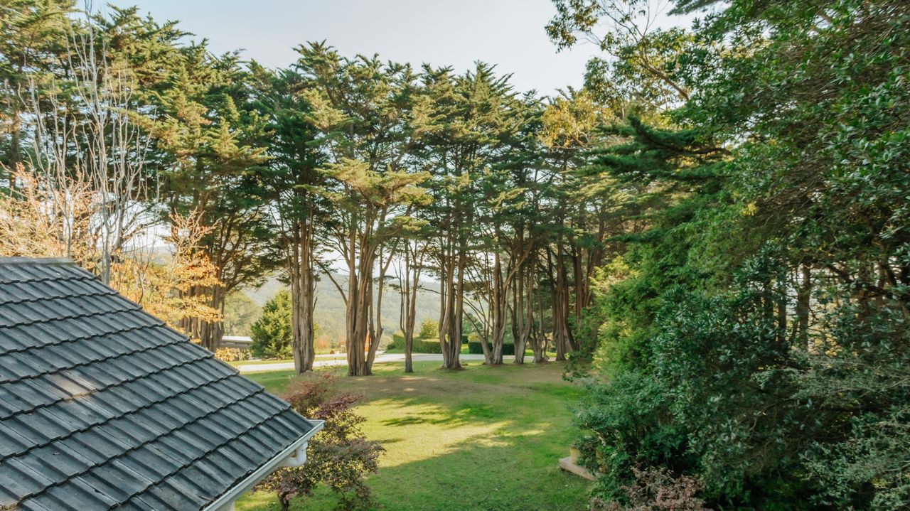 White Hill Cottage Photo 26