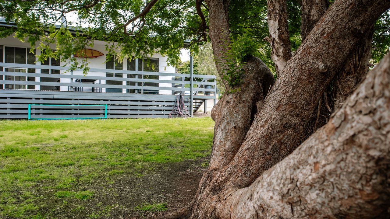 The Holiday Shack at Flinders Photo 21