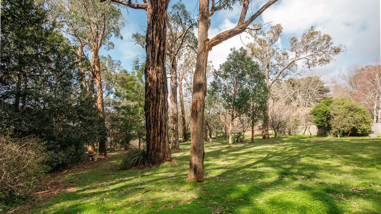 Red Hill Getaway Photo 14