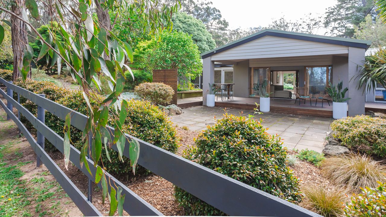 The Vines, Main Ridge