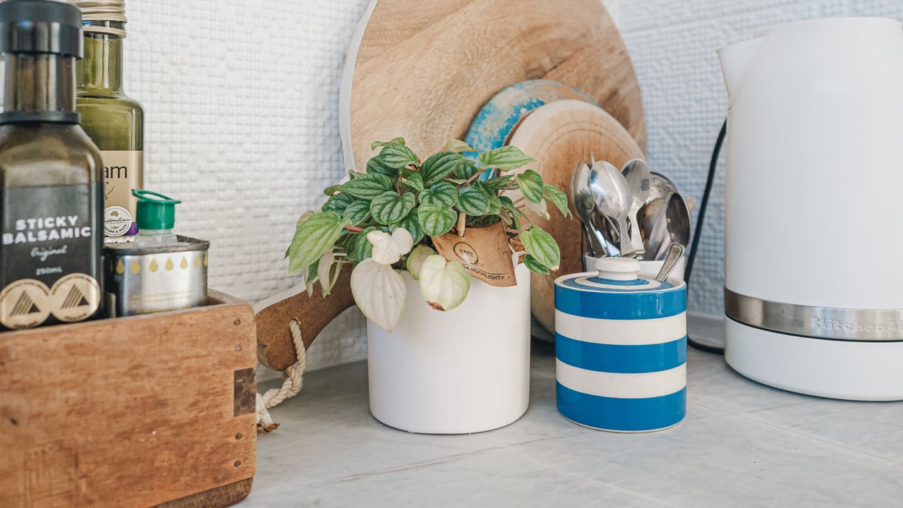 Salt Bush Cottage Photo 6