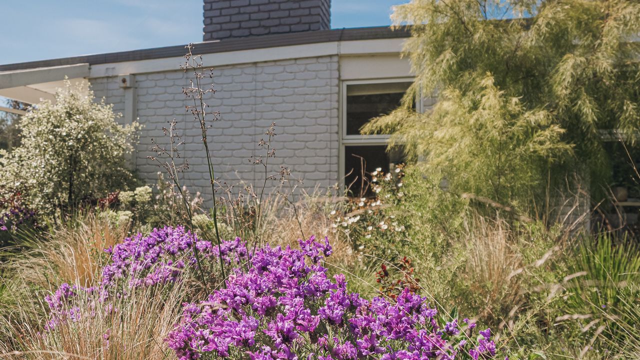 Salt Bush Cottage Photo 24