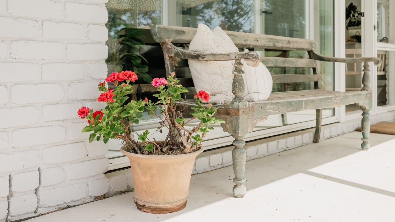 Salt Bush Cottage Photo 16