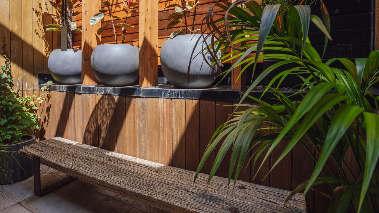 Tree Top Nook Photo 17