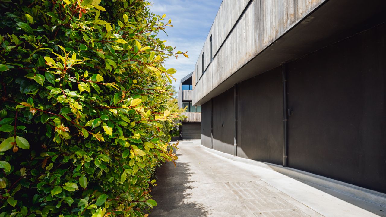 Tree Top Nook Photo 22