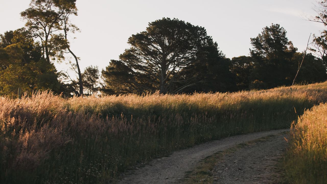 Horizon Haven Photo 19