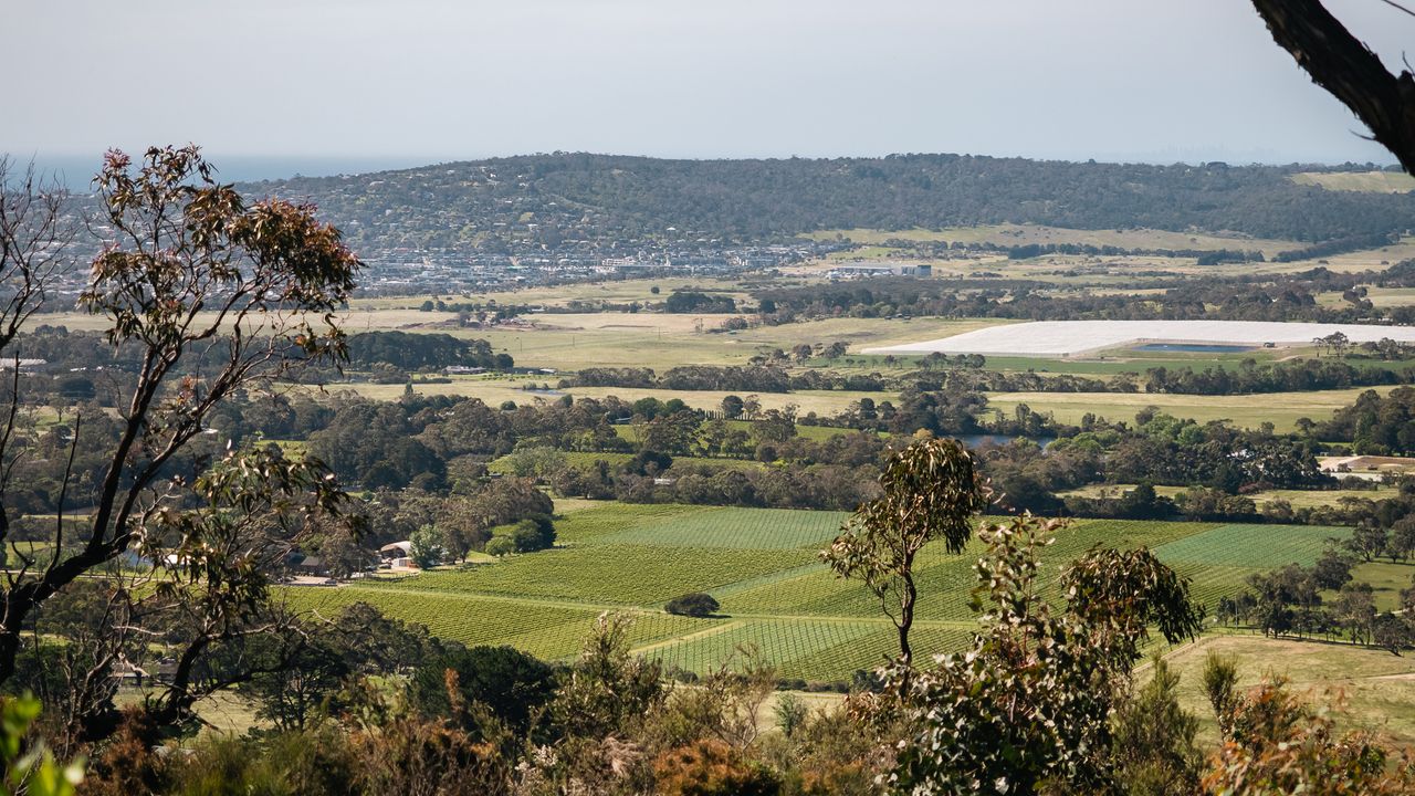 Horizon Haven 10 Photo 25