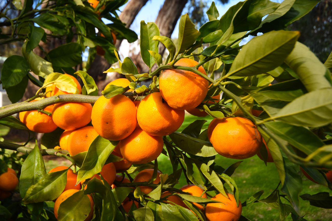 Seascape of Flinders Photo 21